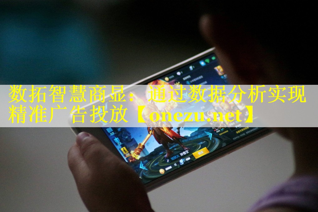 数拓智慧商显：通过数据分析实现精准广告投放
