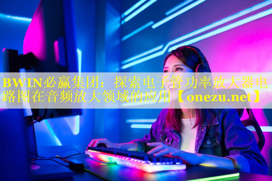探索电子管功率放大器电路图在音频放大领域的应用