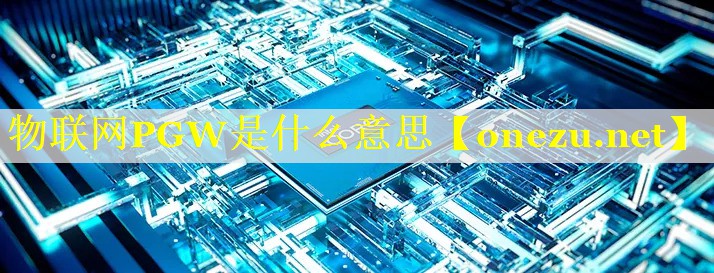物联网PGW是什么意思 物联网PGW是什么意思